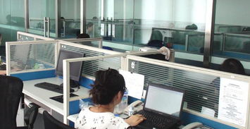 泰安市泰山區財順順食品機械有限責任公司招聘信息 齊魯人才網