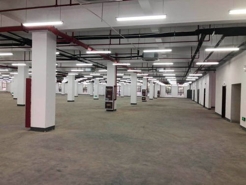 出租 100 5000平方廠房 倉(cāng)庫(kù) 商務(wù)辦公場(chǎng)地