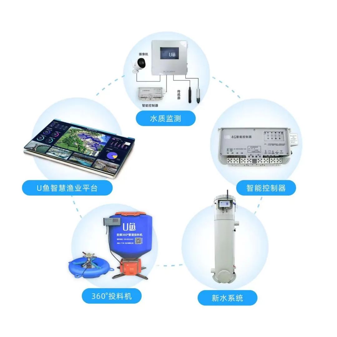 養殖設備免費送？互聯網技術如何重塑養殖設施行業新格局